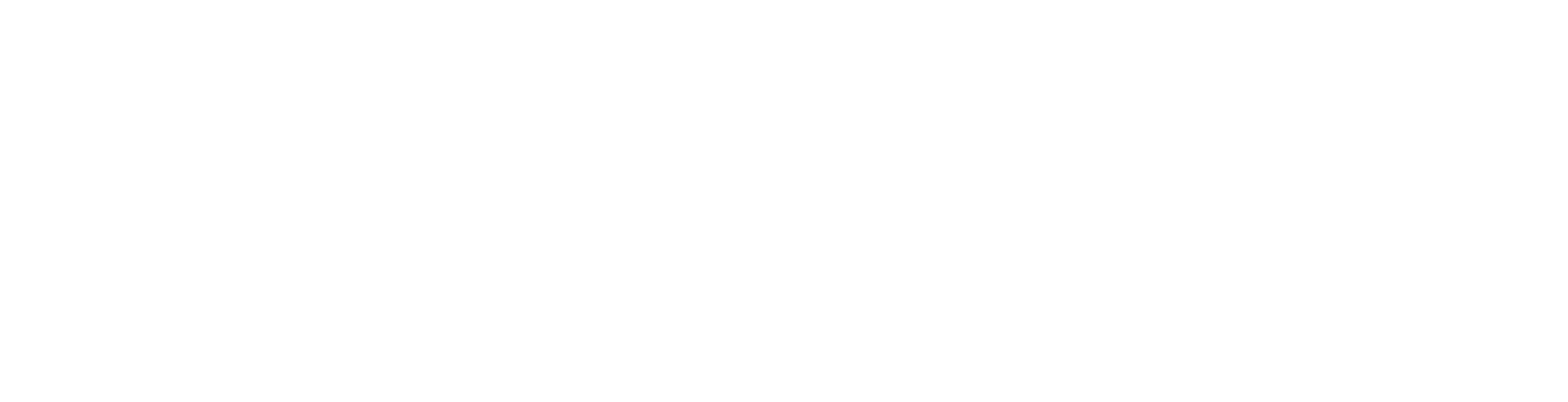 Solyzon Logo